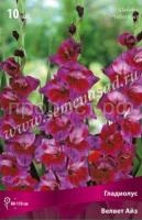 вельвет айз вельвет айз