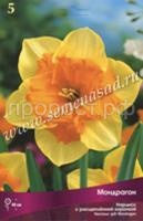 Нарцисс с Расщеплённой коронкой Мондрагон (5шт, 12-14) 380783