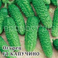 Огурец Капучино F1 100 шт
