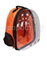 imgonline-com-ua-Resize-W2ddsKqwkR