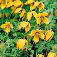 Без названия (1) Без названия (1)