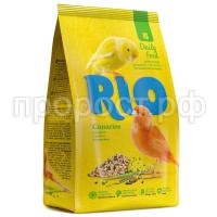 RIO_canary_pachka_r RIO_canary_pachka_r