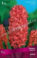 Гиацинт Ян Бос