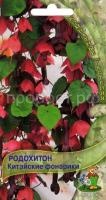 Родохитон Китайские фонарики Родохитон Китайские фонарики