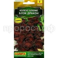 колеус блек дракон колеус блек дракон