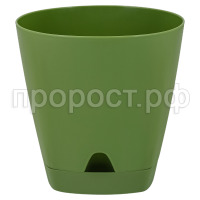 амстердам ол амстердам ол