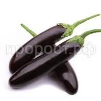 Без названия