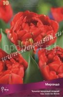Тюльпан Махровый поздний Миранда (красный, 10шт, 11-12) 540521 Тюльпан Махровый поздний Миранда (красный, 10шт, 11-12) 540521