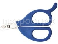 когтер когтер