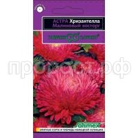 хризантелла малин. восторг