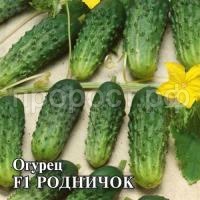 Огурец Родничок F1 10 г