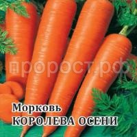 Морковь Королева Осени 25 г Морковь Королева Осени 25 г