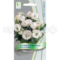 эустома махр. рози бело-розовая эустома махр. рози бело-розовая
