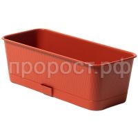 П112900_1 П112900_1