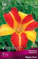 Лилейник гибридный Франс Халс Лилейник гибридный Франс Халс