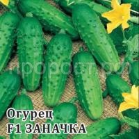 Огурец Заначка F1 100 шт Огурец Заначка F1 100 шт
