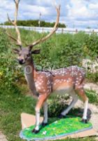 олень пятнис