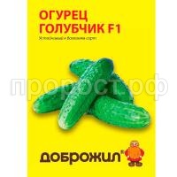 огурец голубчик