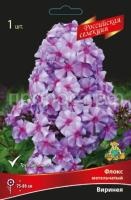 Флокс метельчатый Виринея