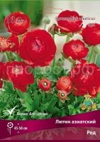 lutik_asia_red_kaper