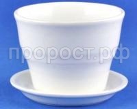 колибрибел колибрибел