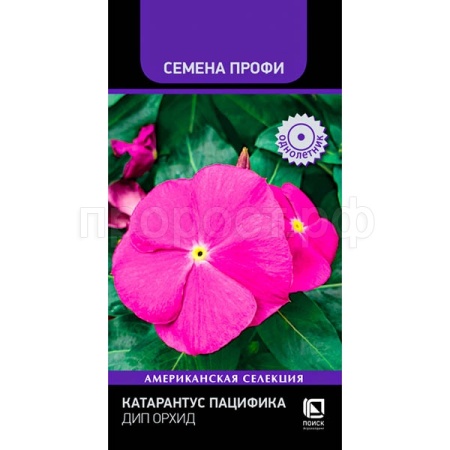 Поиск Катарантус Пацифика Дип Орхид 10шт