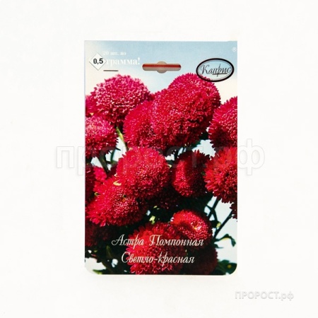 Каприс Астра Помпонная светло-красная Совершенство 20*1