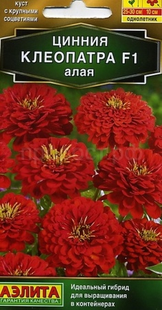 Аэлита Цинния Клеопатра F1 алая 12шт