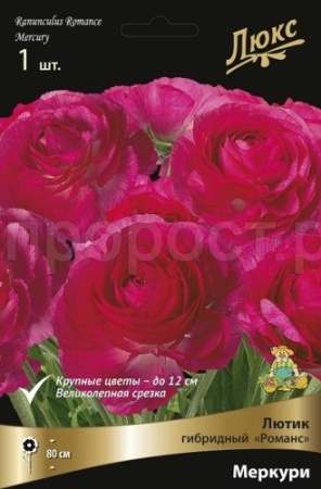 Лютик гибридный Романс Меркури /К 839686