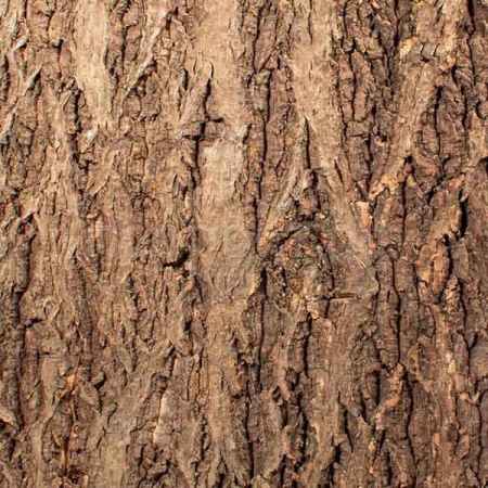 Фон для террариума Кора натуральная на пробке 435*410мм Repti-Zoo/84065007/Триол