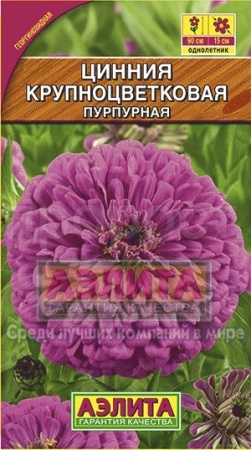 Аэлита Цинния Крупноцветковая пурпурная 0,3г