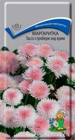 Поиск Маргаритка Тассо стробери энд крим 20шт 
