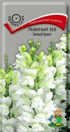 Поиск Львиный зев Белый букет 0,1г