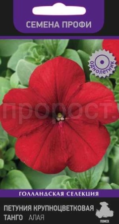 Поиск Петуния крупноцветковая Танго Алая 15шт 