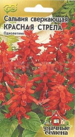 Гавриш Уд семена Сальвия Красная стрела 0,05г