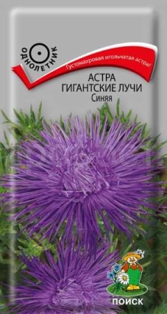 Астра Гигантские лучи Синяя 0,3г