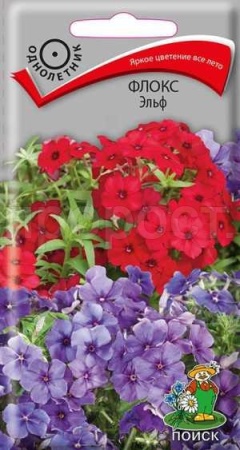 Поиск Флокс друммонда Эльф 0,1г