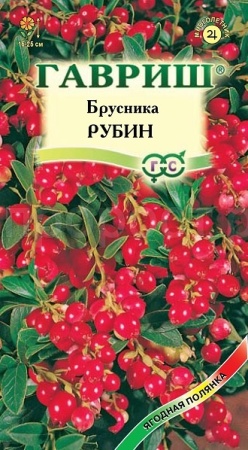 Брусника Рубин 20шт
