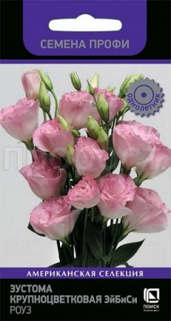 Поиск серия Профи Эустома крупноцветковая ЭйБиСи Роуз 10шт