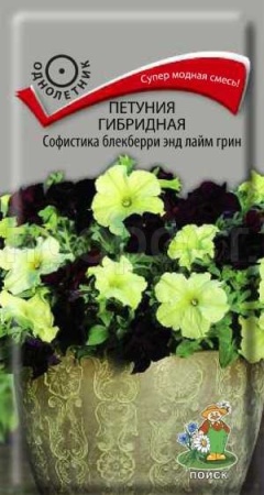 Поиск Петуния гибридная Софистика блекберри энд лайм грин 5шт