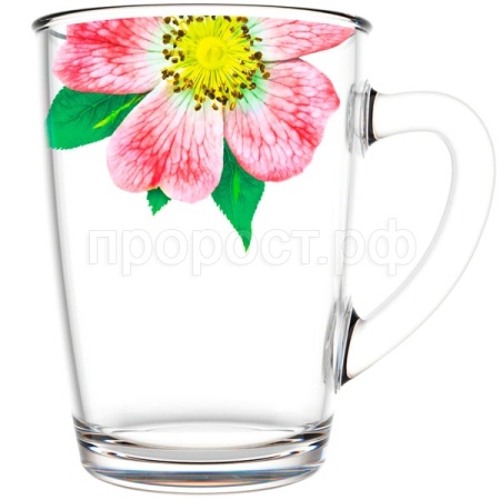 Кружка Живая природа Китайская роза 300мл /334-Д /12шт/ДК