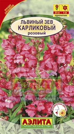 Аэлита Львиный зев карликовый розовый 10шт