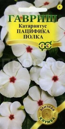 Гавриш Катарантус Пацифика Полка 5шт