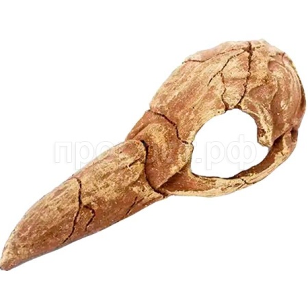 Грот Череп птицы Nomoy Pet 20х8х6.5см/NMP-NS-121