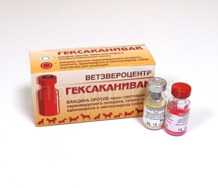 Вакцина аденовироза и лептоспироза собак Гексаканивак 2фл=1доза