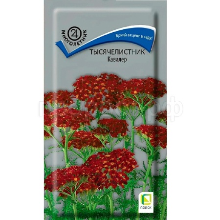 Поиск Тысячелистник Кавалер 0,1г