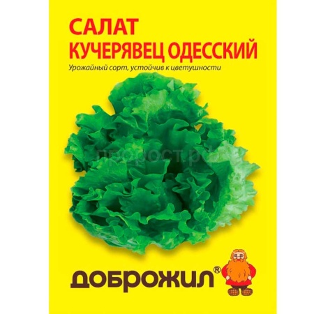 Салат Кучерявец одесский 0,5г Салат Кучерявец одесский 0,5г