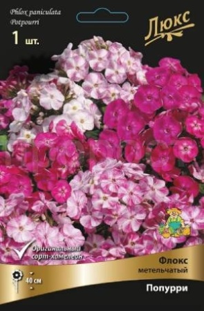 Флокс метельчатый Попурри (I) 1 шт