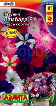 Аэлита Петуния Ламбада F1 многоцветковая смесь окрасок 7шт 