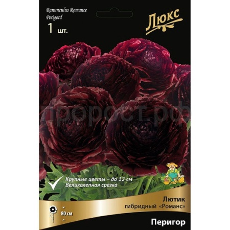 Лютик гибридный Романс Перигор /К 839689